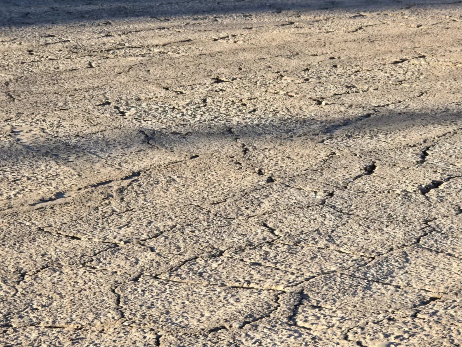 Commercial asphalt paving, sealcoating, and concrete work by American Asphalt in Arizona