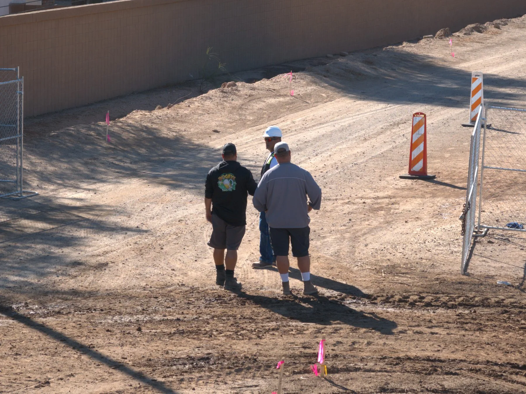 14312 Waddell commercial site work in Waddell, AZ, photo 13